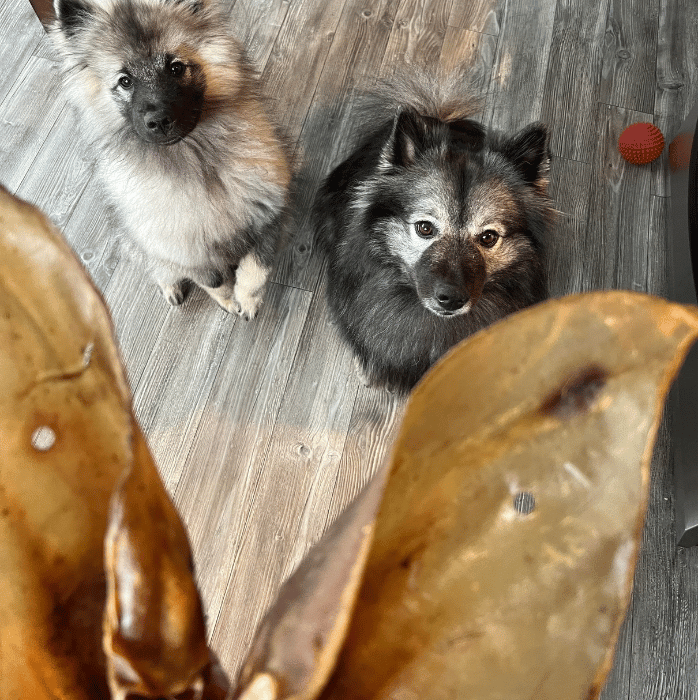 Nature's Own Gâteries Oreille de buffle d'eau pour chien