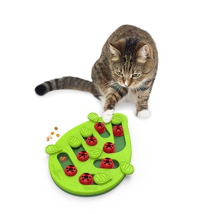 Nina ottosson jouets pour chien Casse tête pour chat Jouet interactif Nina Ottosson Buggin Out