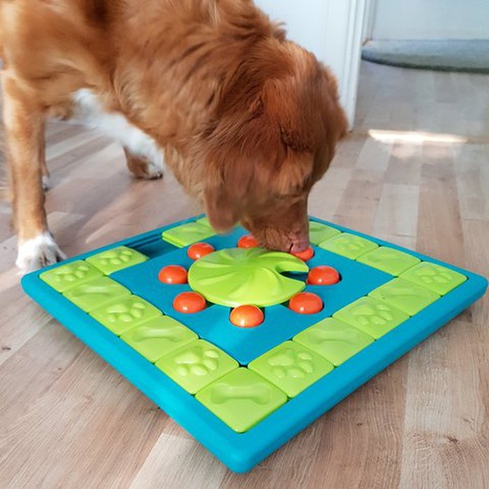 Nina ottosson jouets pour chien Casse tête pour chien Jouet interactif Nina Ottosson Multi Puzzle Niveau 4