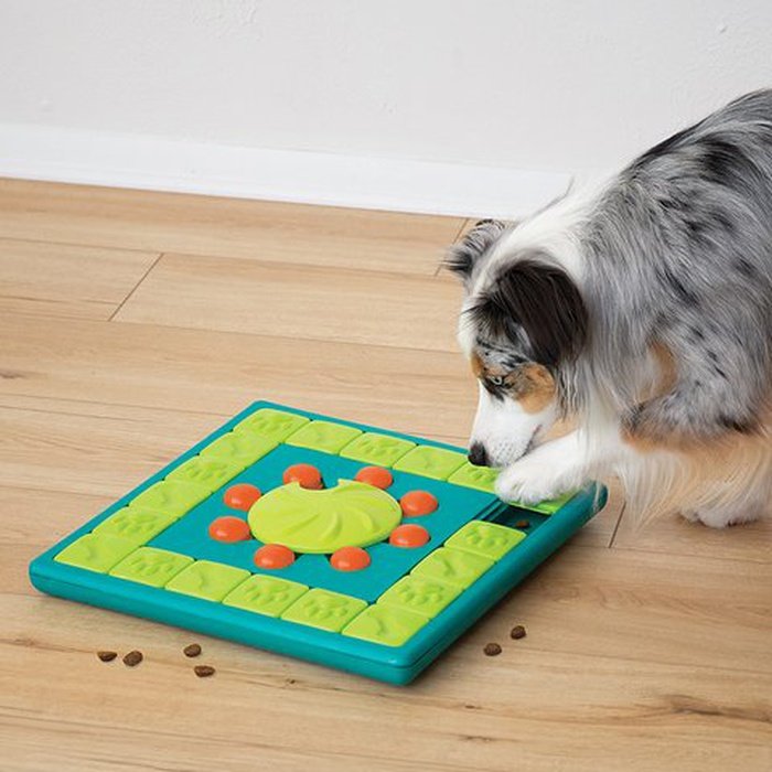 Nina ottosson jouets pour chien Casse tête pour chien Jouet interactif Nina Ottosson Multi Puzzle Niveau 4
