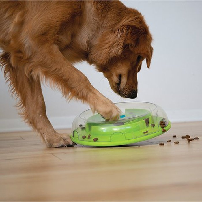Casse tête pour chien Jouet interactif Nina Ottosson Wobble Bowl -  Sherbrooke Canin