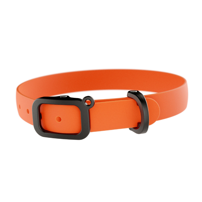 Nuvuq collier Collier imperméable et ultraléger pour chien - Orange Tangerine