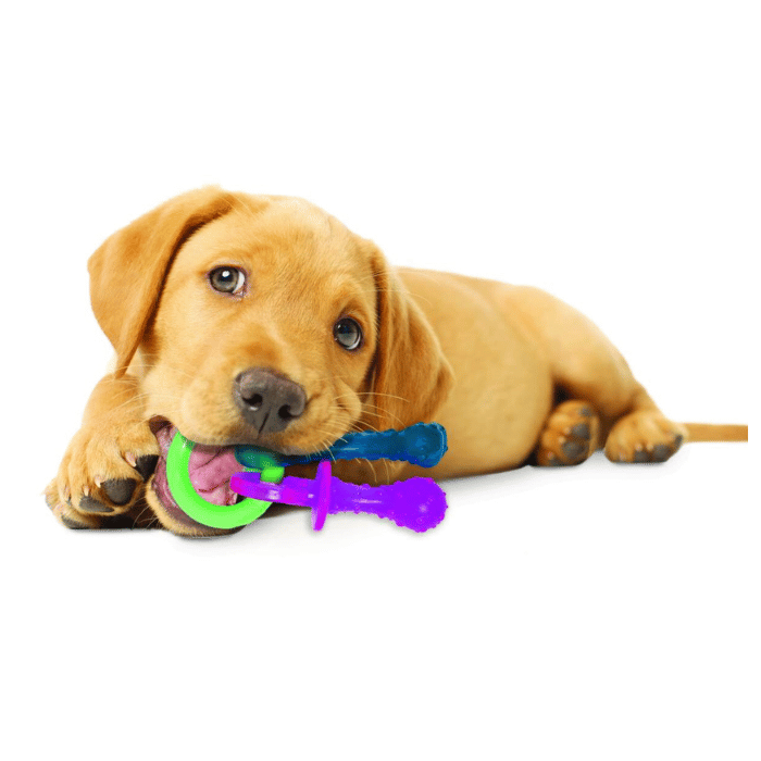 Nylabone nylabone Jouet Nylabone Pour chiots - sucettes