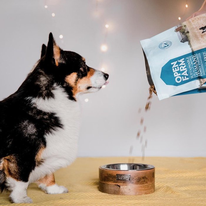 Open Farm nourriture Nourriture pour chien Open Farm Poisson sans grain