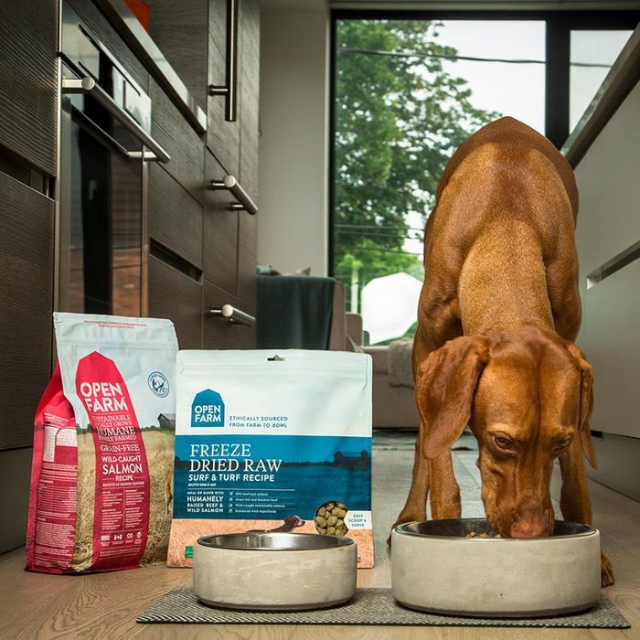 Open Farm nourriture Nourriture pour chien Open Farm Saumon sauvage sans grain Nourriture pour chien Open Farm Saumon sauvage sans grain