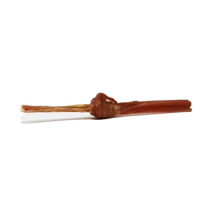 open range bully Bully sticks jr bladder 12''