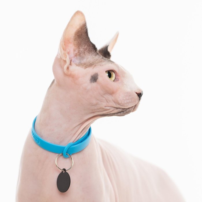 Original Bond collier NUVUQ – Collier pour chat