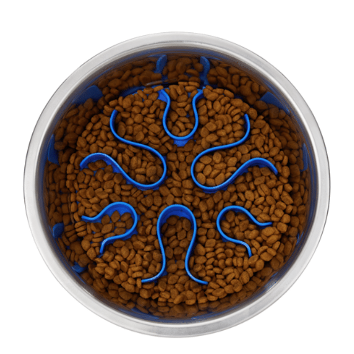 Outward hound bols pour chien Bol modérateur en stainless pour chien Fun Feeders