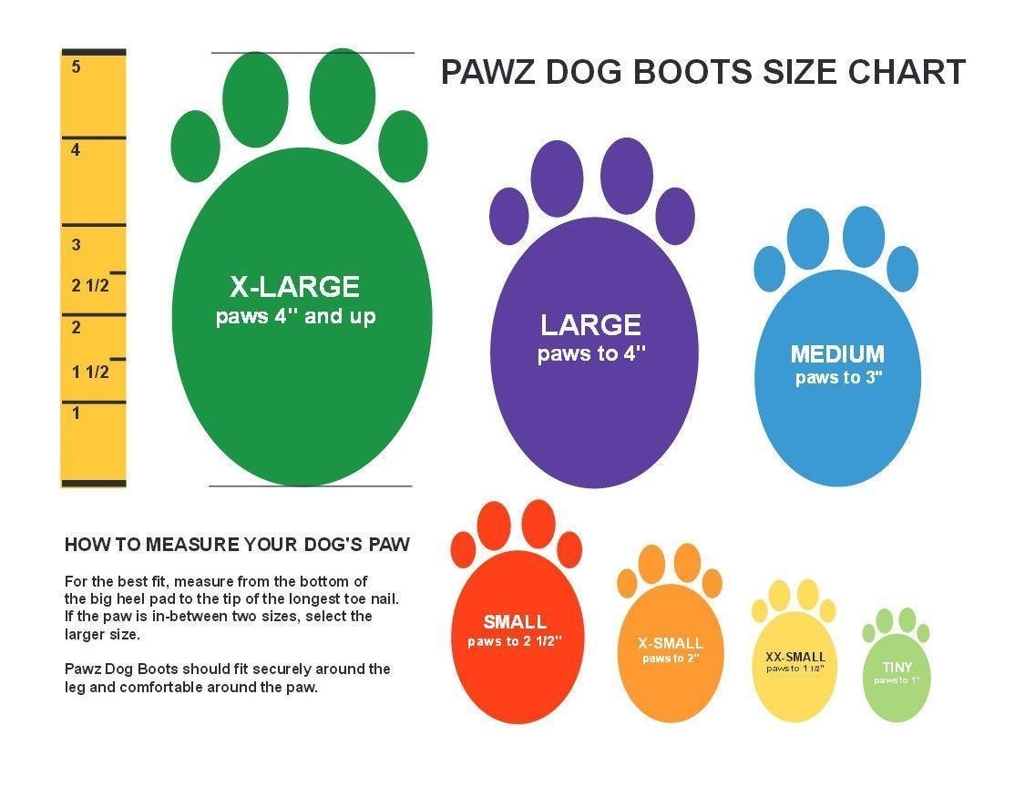 Pawz bottes Bottes pour chien Pawz Rubber Balloon