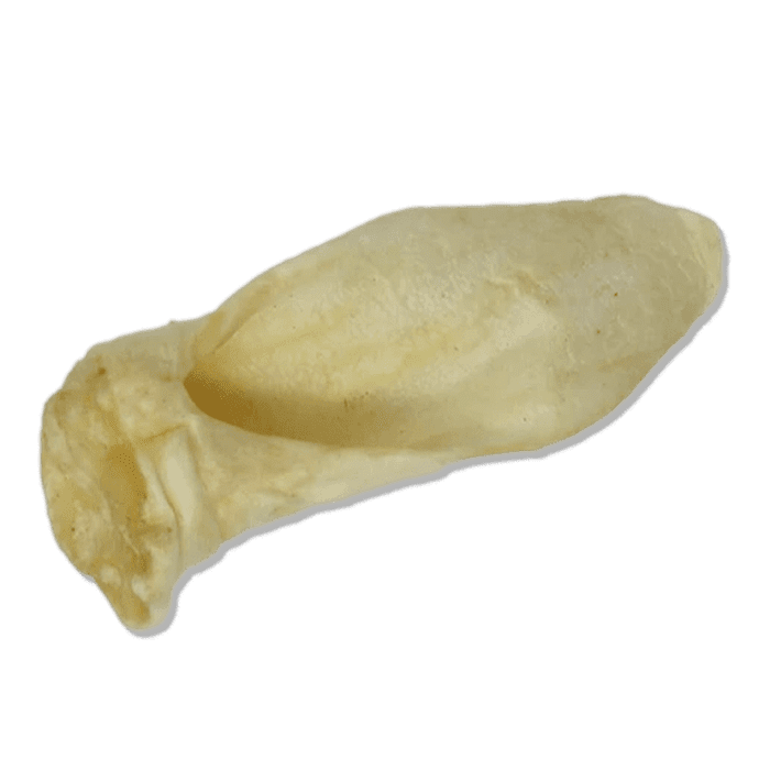 Pet center Gâteries Gâteries pour chiens Oreille d'agneau