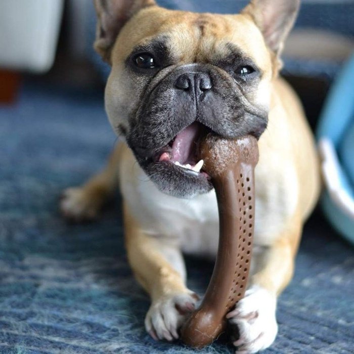 Pet Qwerks jouets pour chien Flavorit BarkBone Os pour chien au poulet