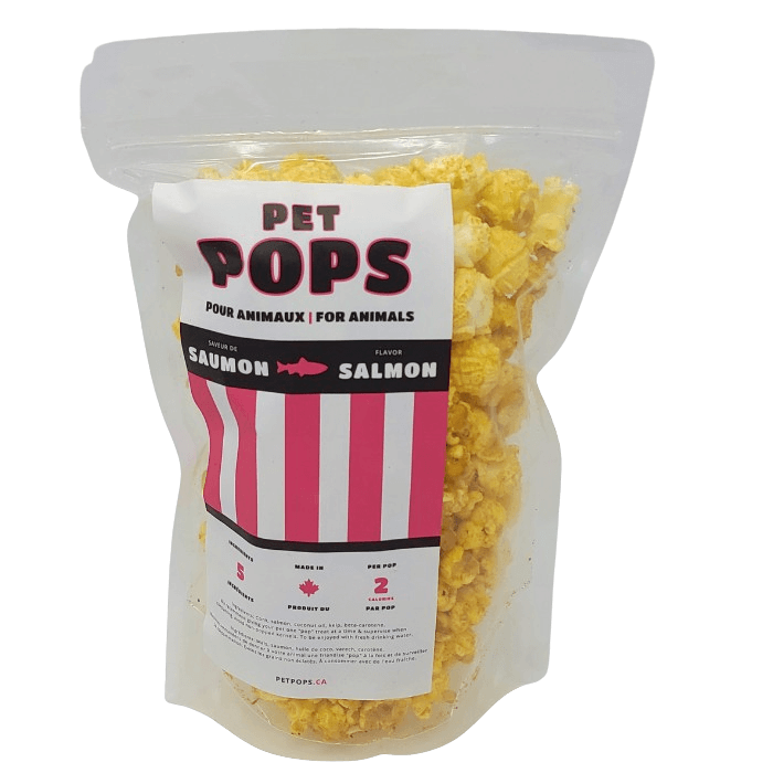 Petpops Popcorn pour chiens au saumon