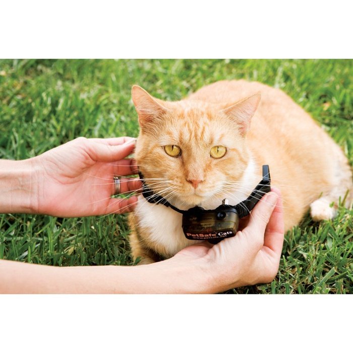 collier anti fugue chat