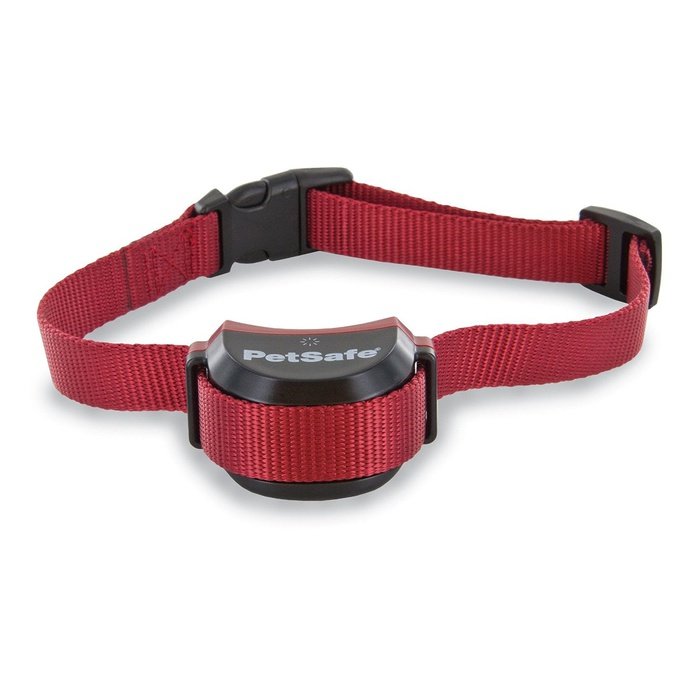 Collier stay and play pour chien têtu