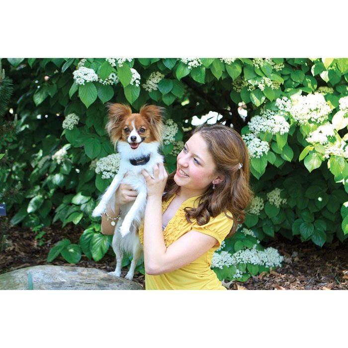 Collier anti aboiement à vibration Petsafe