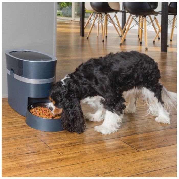PetSafe distributeur de repas Distributeur de croquettes connecté Smart Feed de PetSafe pour chiens et chats