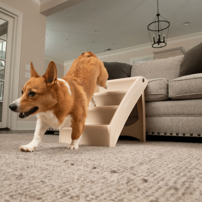 PetSafe escalier Escalier pour animaux PetSafe Pup Step Plus