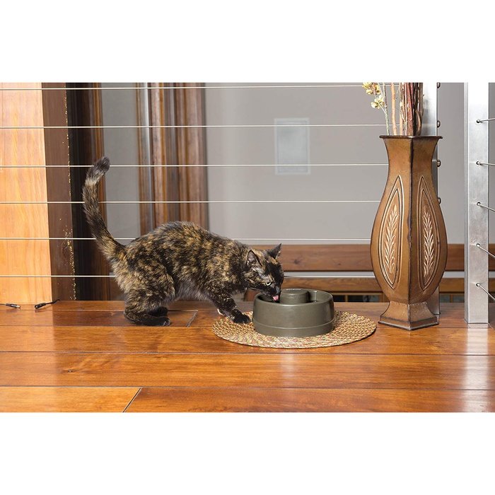 PetSafe fontaine Fontaine pour animaux de compagnie avec un flux d’eau, PetSafe Current