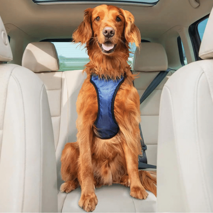 Harnais d'auto pour chien PetSafe happy ride - Sherbrooke Canin