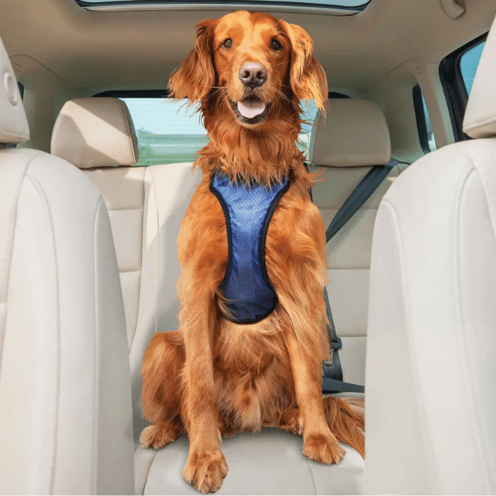 PetSafe harness PetSafe Happy Ride dog car harness