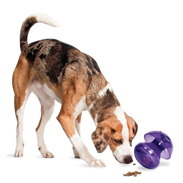 PetSafe jouets pour chien Jouet pour chien PetSafe Magic Mushroom Busy Buddy