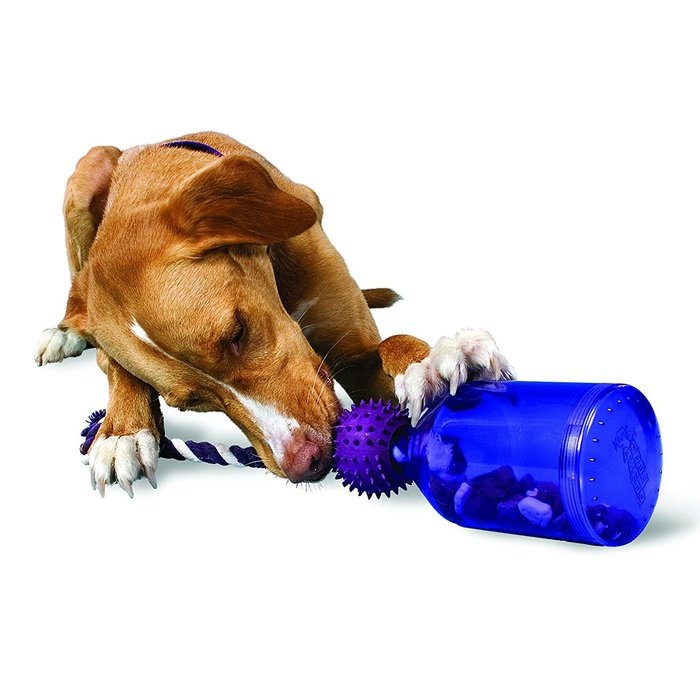 PetSafe jouets pour chien Jouet Tug-a-jug Busy Buddy