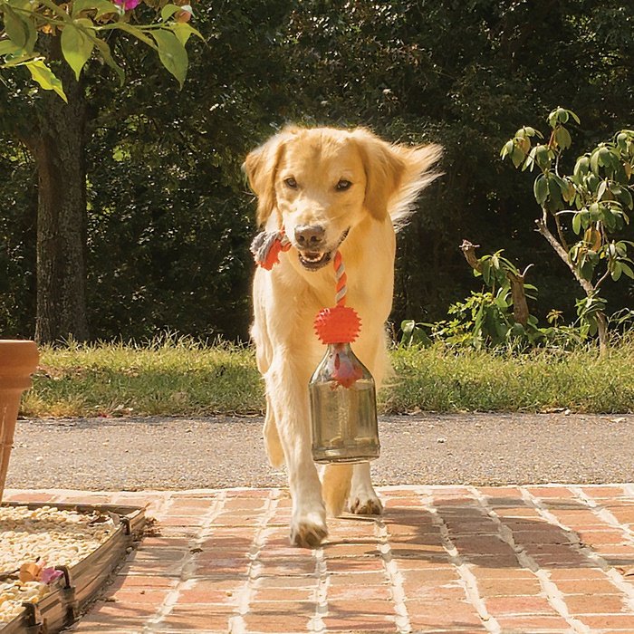 PetSafe jouets pour chien Moyen/Grand PetSafe Jouet Tug-a-jug Jouet interactif