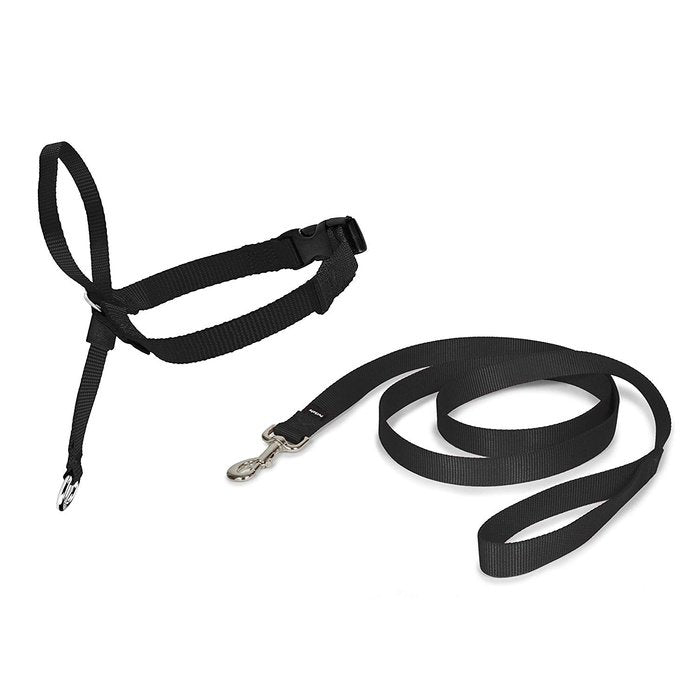 PetSafe licou Licol pour chien Easy Walk Gentle Leader