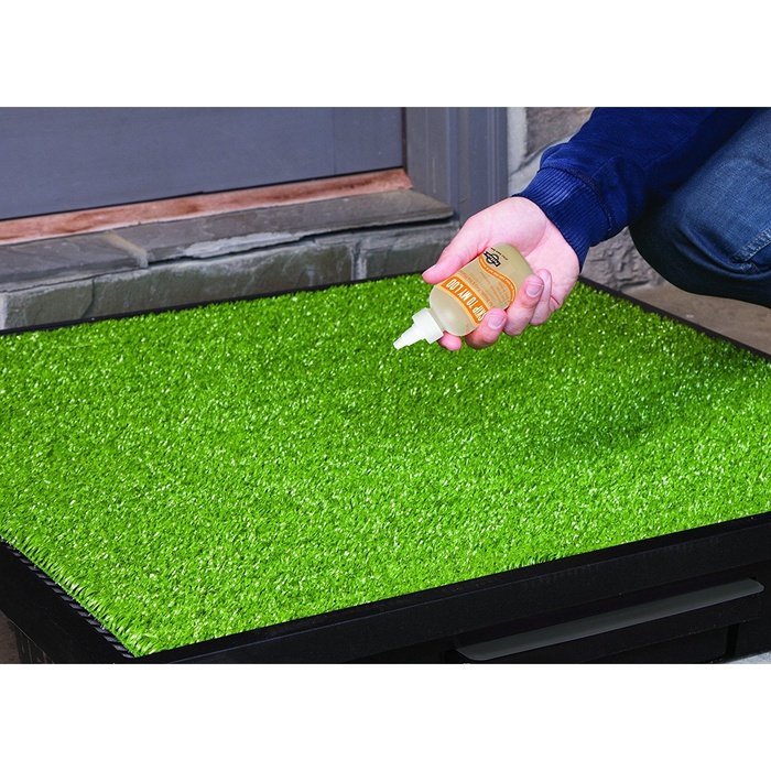 parfum skip to my loo