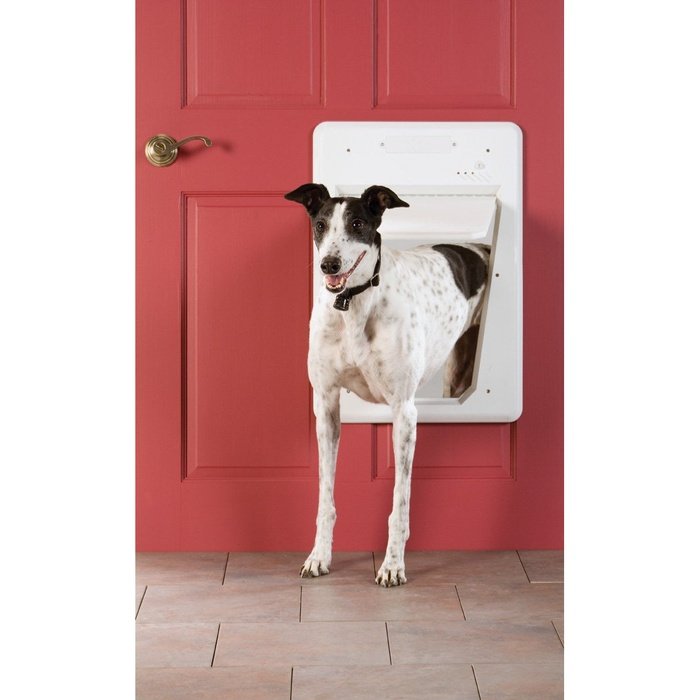 PetSafe Porte pour chien Grande Porte électronique pour animaux PetSafe Smart Door Port électronique pour animaux PetSafe Smart Door