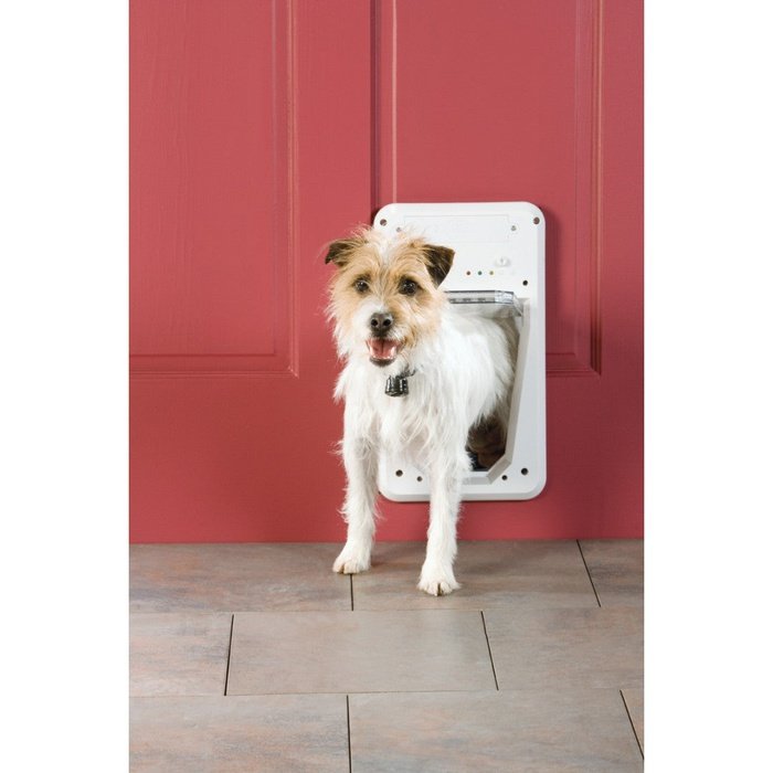 PetSafe Porte pour chien Petite Porte électronique pour animaux PetSafe Smart Door Port électronique pour animaux PetSafe Smart Door