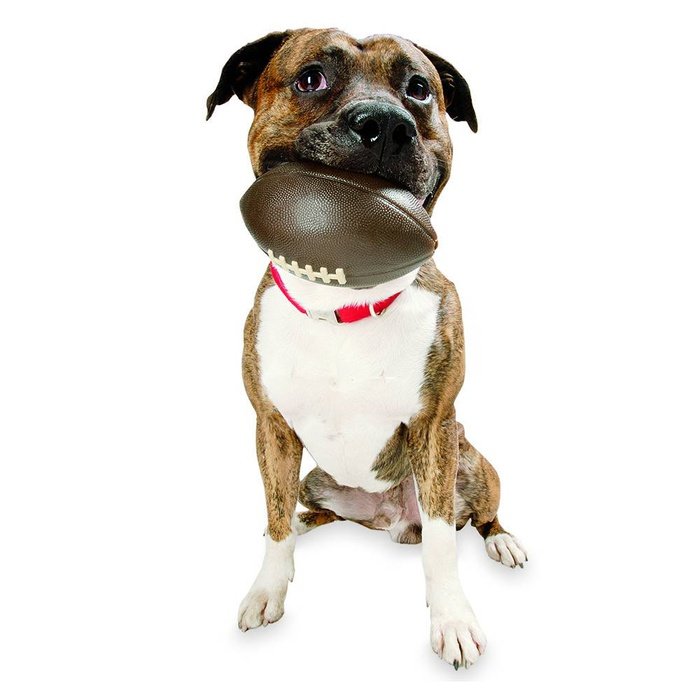 Planet dog jouet Ballon de football Orbee-Tuff