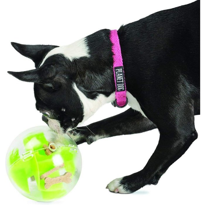 Planet dog jouet interactif Balle Mazee Planet Dog Orbee Tuff