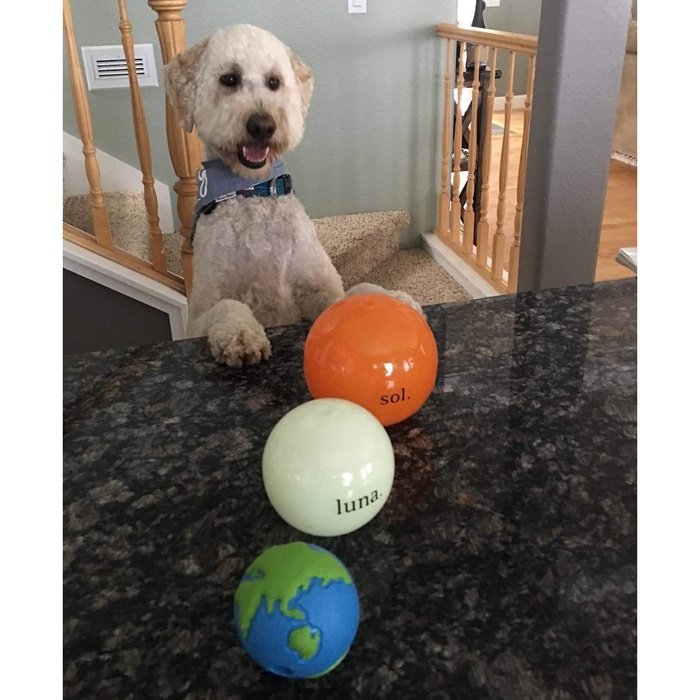 Planet dog jouet interactif Balle Planet dog Sol