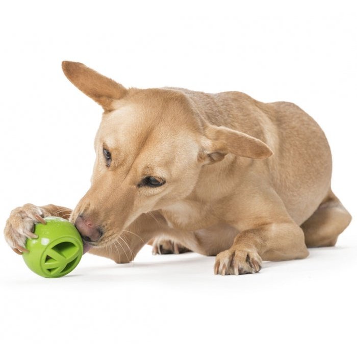 Planet dog jouet interactif Orbee-Tuff Nook