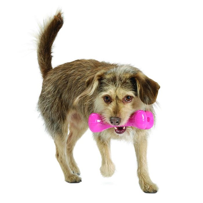 Planet dog jouet Os Orbee-Tuff Rose