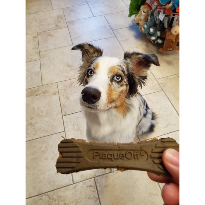 ProDen plaque off Légumes PlaqueOff Système os soins dentaires pour chiens PlaqueOff Système os soins dentaires pour chiens