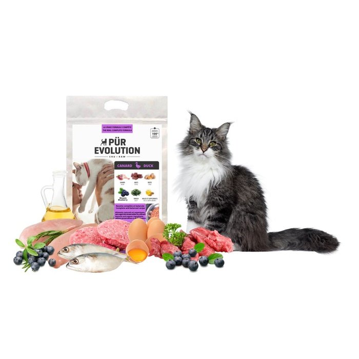 Raw food for dogs cats P r Evolution Sherbrooke Canin