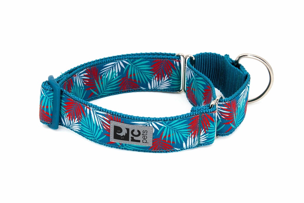 Rc Pets collier Collier martingale - RCpets Maldives 1.5''