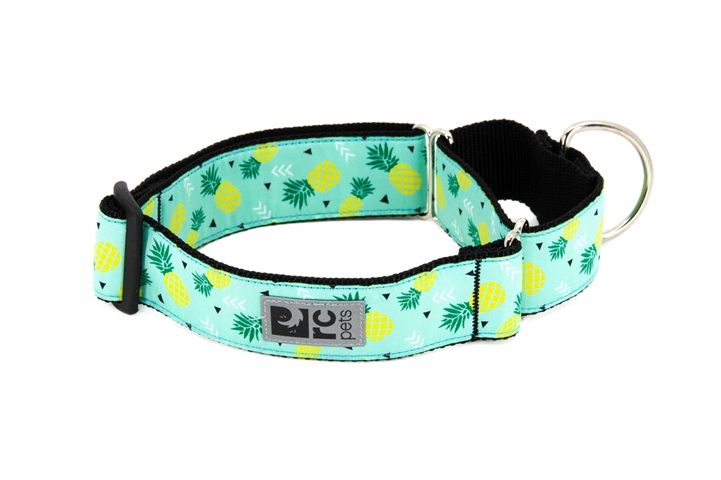 Rc Pets collier Collier martingale - RCpets Pineapple parade 1.5''