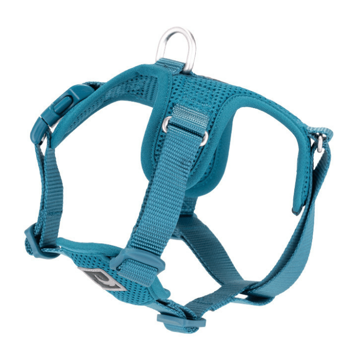 Rc Pets Harnais Harnais Rc Pets Forte Step in - Bleu