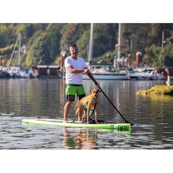 Rc Pets veste Veste de flottaison pour chien - Tidal