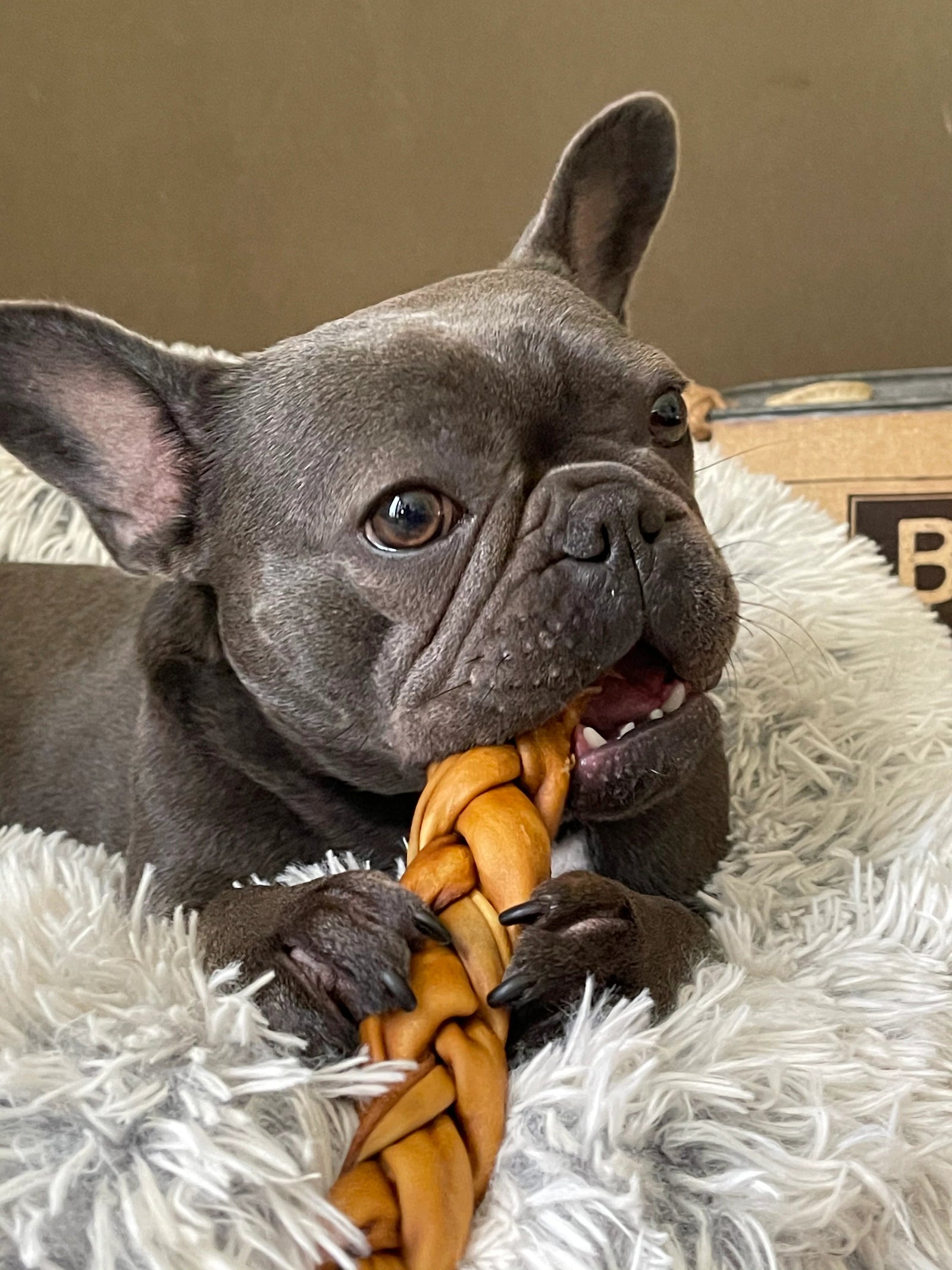 Redbarn Gâteries Tresse De Collagène Soufflé 12"