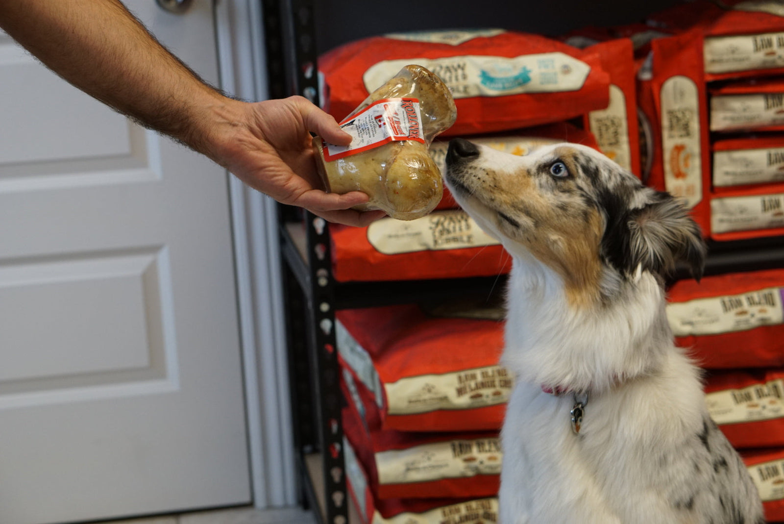 Rollover rotule Rollover Knuckle Bones, Rotule de bœuf