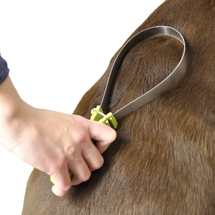 Safari Brosse Brosse étrille pour chute de poils