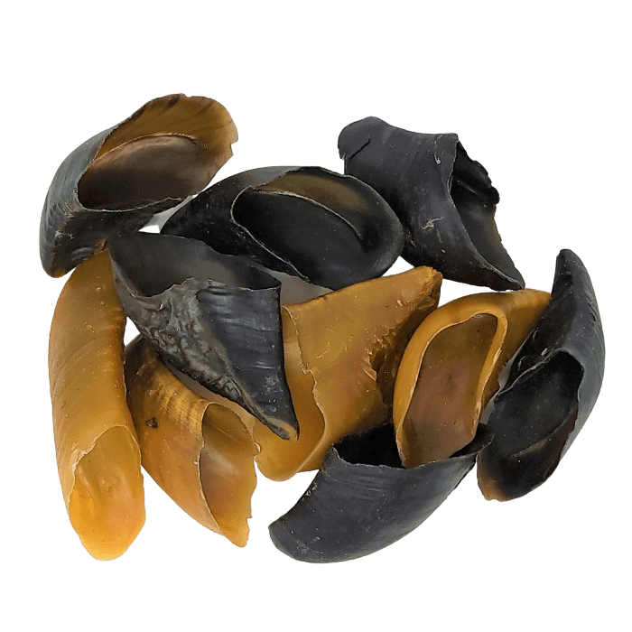 Sherbrooke Canin Format économique Sabot de boeuf - Paquet de 10