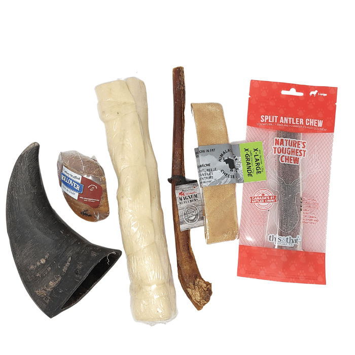 Sherbrooke Canin Gâteries Boîte mastication - Gros Mâcheur