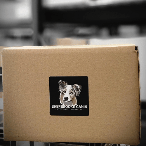 Sherbrooke Canin Gâteries La Boîte Surprise -  Pour 24h seulement