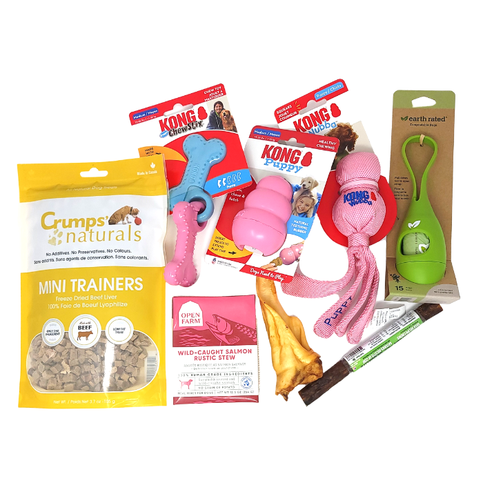 Sherbrooke Canin Mâle La boîte chiot