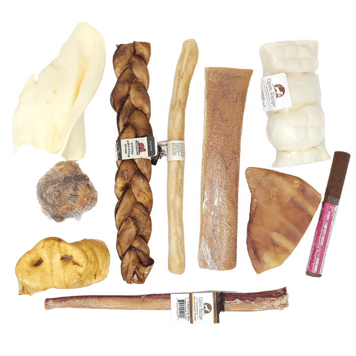 Sherbrooke Canin Top 10 des meilleurs vendeurs - Mastication